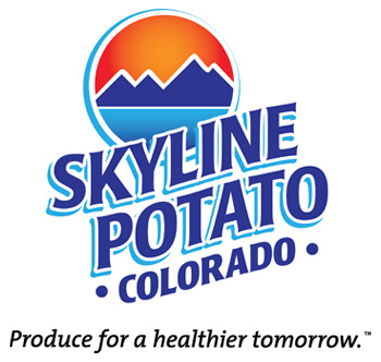 Skyline-logo (1)